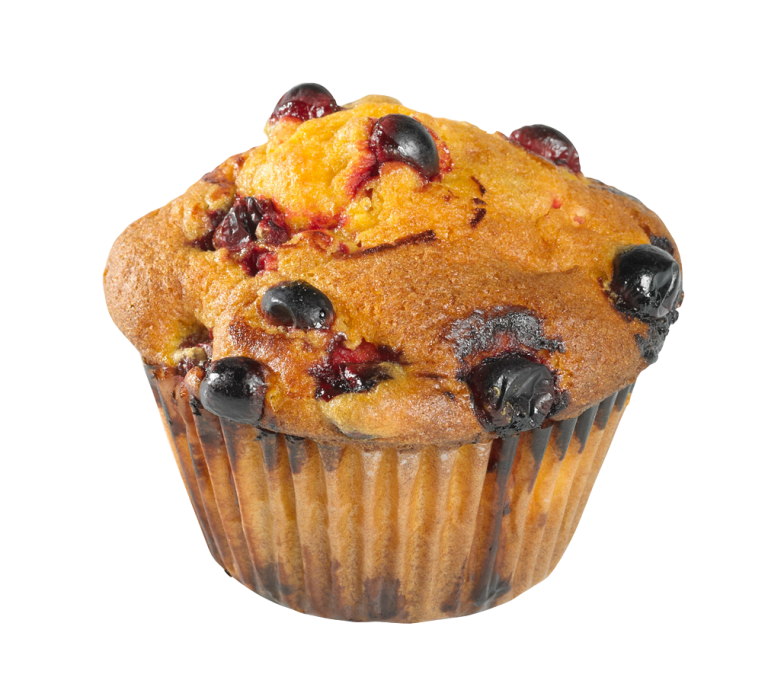 Orange Cranberry Yogurt Muffin